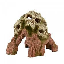 Bioscape tripple Skull