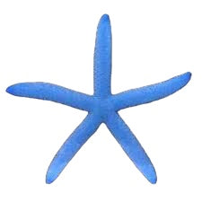 Blue Starfish