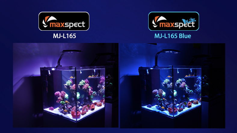 Maxspect Jump MJ-L165 LED