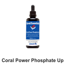 Coral Essentials Coral Power