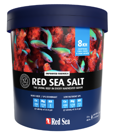 Red Sea Salt