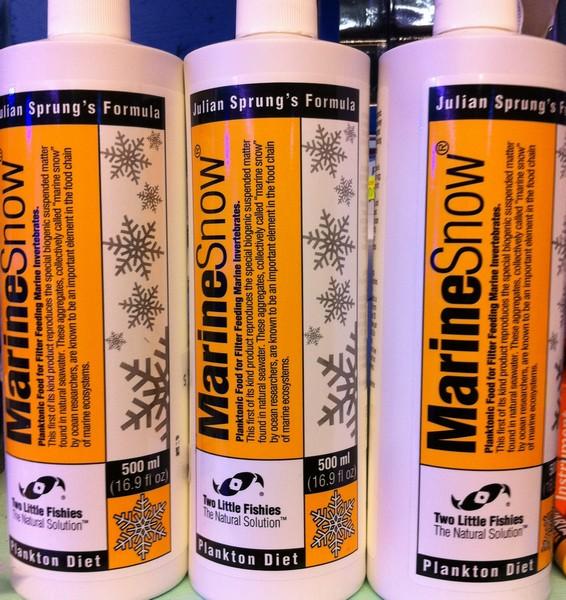 Two Little Fishies Marine Snow