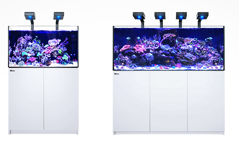 Red Sea Reefer Deluxe G2+