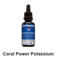 Coral Essentials Coral Power