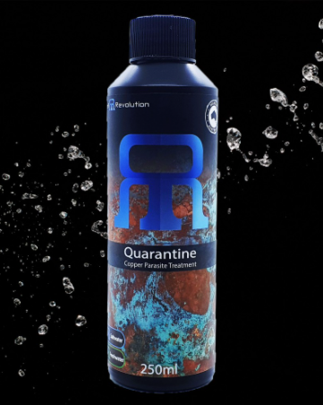 Reef Revolution Quarantine