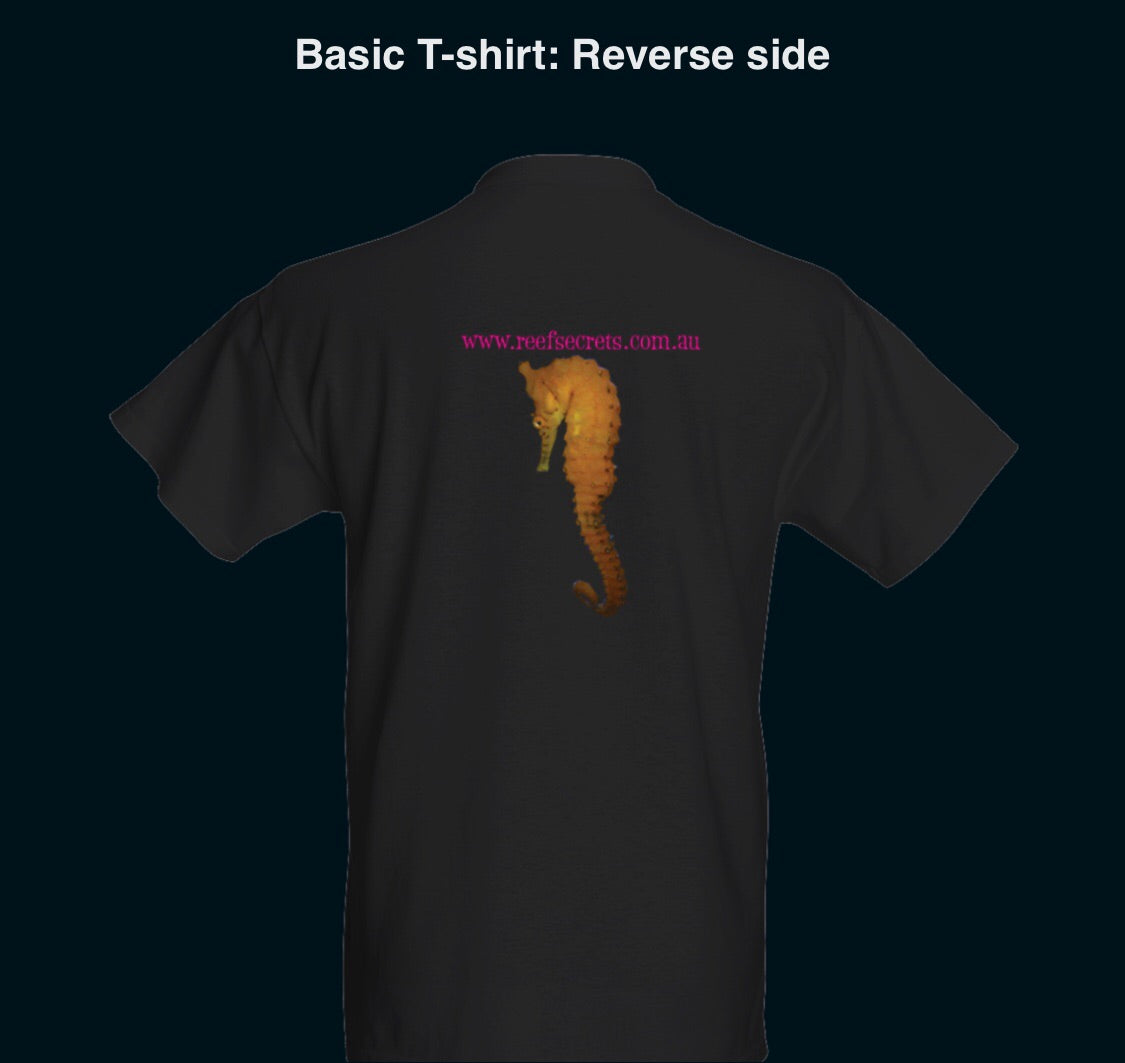 Sunburst/horse shirt