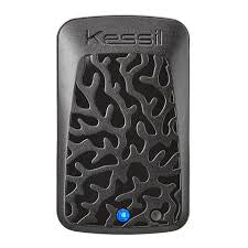Kessil Controller