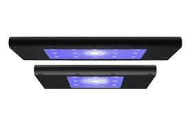 HYDRA EDGE 68 freshwater