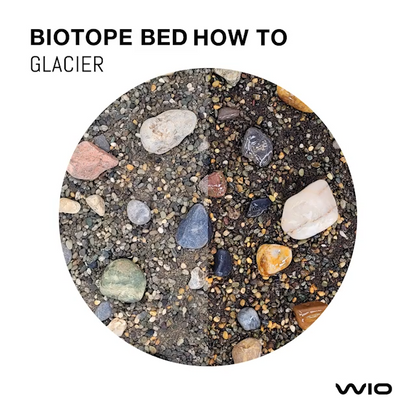 WIO - Glacier River Bed