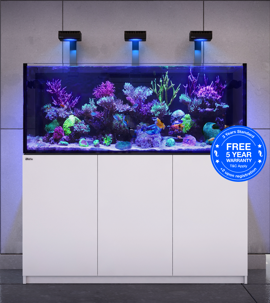 Red Sea Reefer G2+