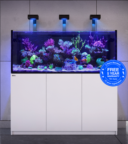 Red Sea Reefer G2+