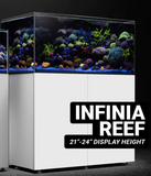Waterbox Infinia Reef