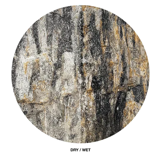 WIO - Grey Fossil Wood Stone Mega Box Set 22kg