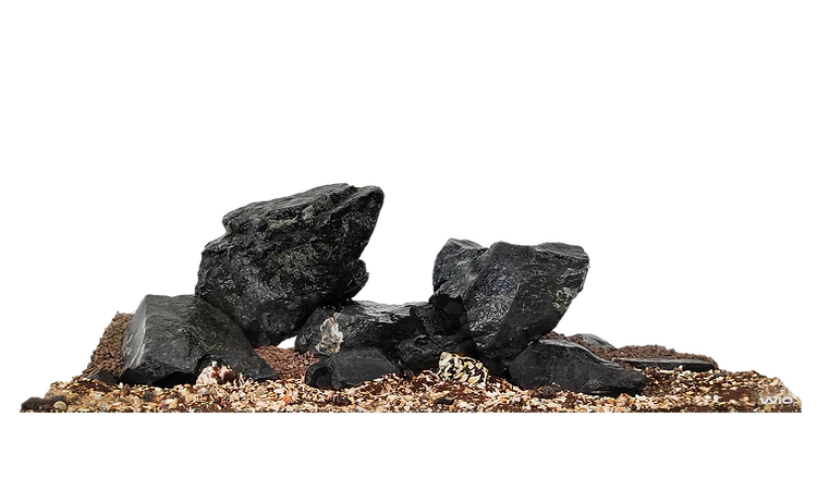 WIO - Nautilus Dark River Kit
