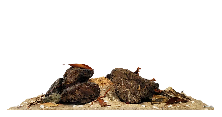 WIO - Rivulet River Kit