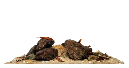 WIO - Rivulet River Kit