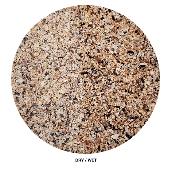 WIO - Shell River bed