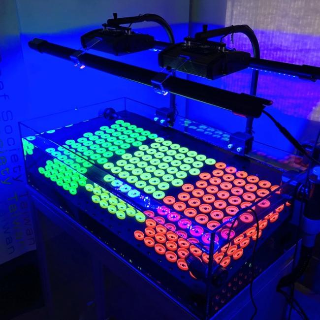 Glow in the Dark Frag Kit