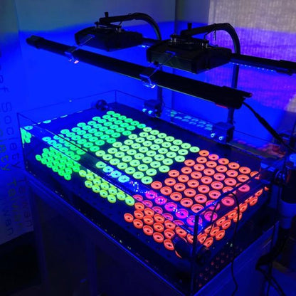 Glow in the Dark Frag Kit