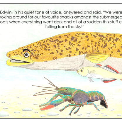 I Believe In Rainbows Book