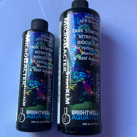 Brightwell Aquatics MicroBacter Start XLM
