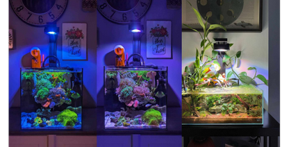 120cm Aquarium Pixel LED Bundle