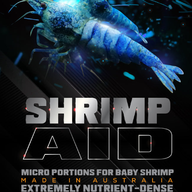 Shrimp 3 in 1 Starter by SAS