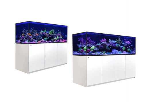 Red Sea Reefer S G2+