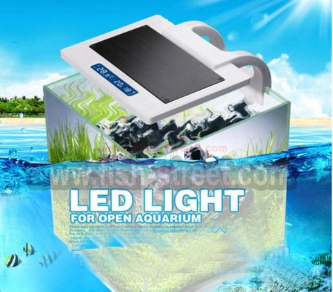 Coral Box Digital LED