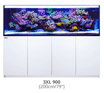 Red Sea Reefer XXL / XXXL G2+