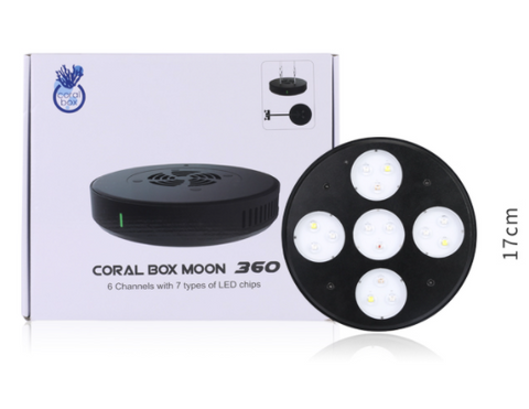 Coral Box Moon Led 360