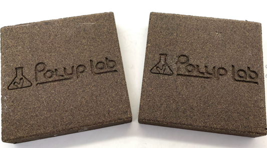 PolypLab Genesis Rock