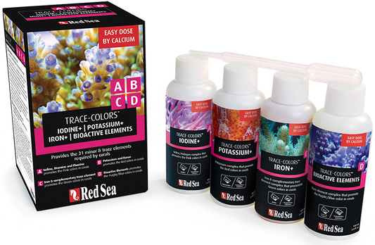Red Sea Reef Colors