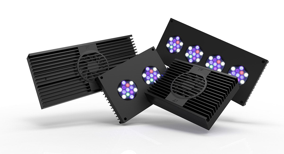 HYDRA 64 HD