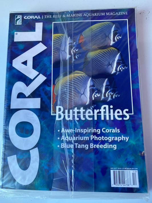 Coral Magazine Butterflies