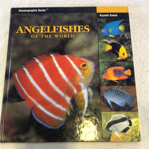 Angelfishes of the world