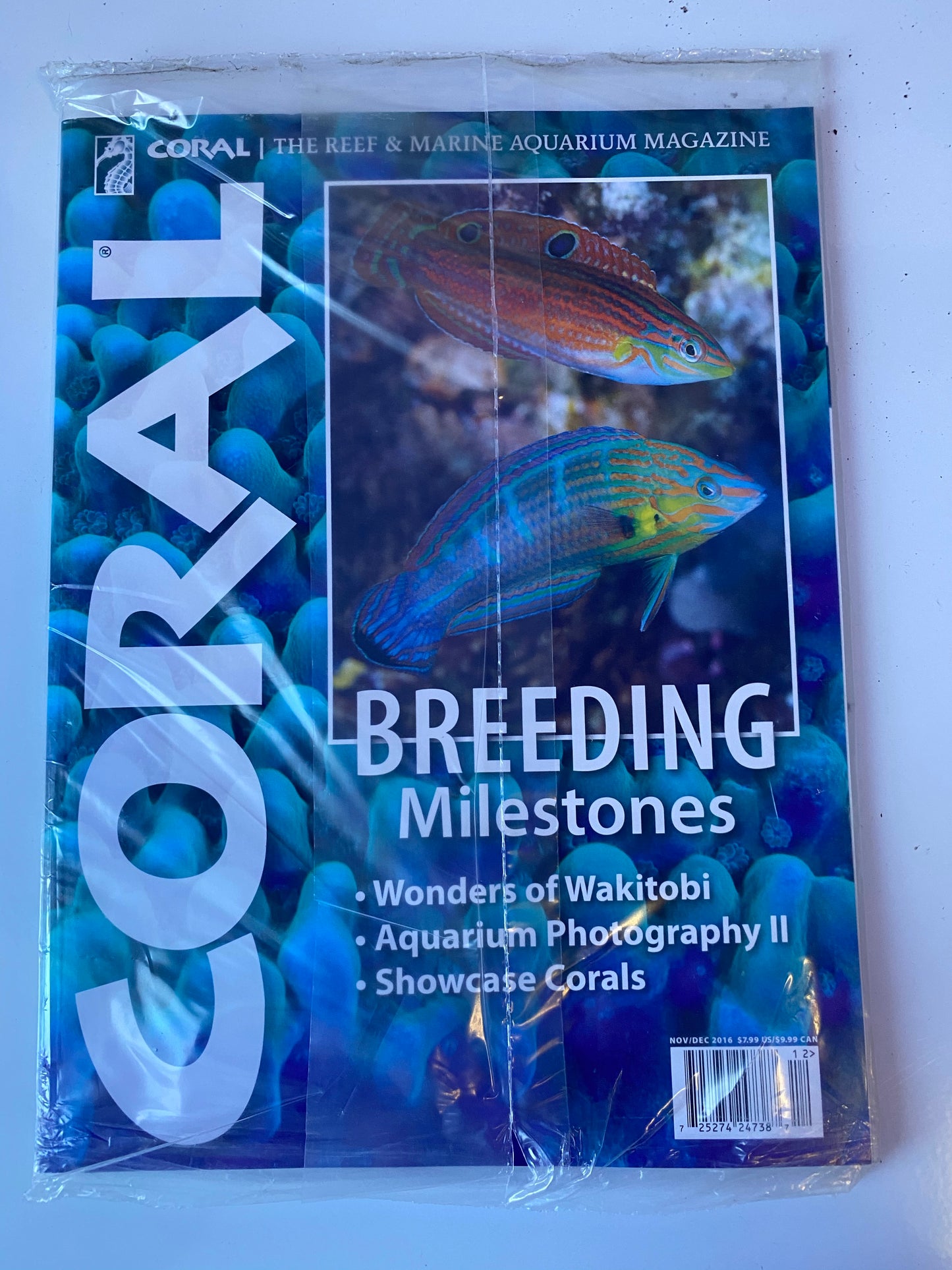 Coral Magazine Breeding Milestones