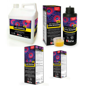 Reef Energy Plus